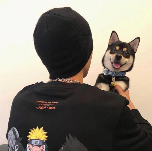 6686体育官网金牌作者Xander