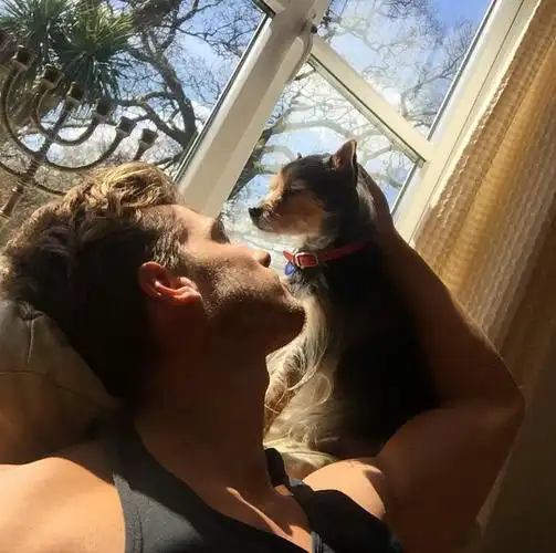 6686体育官网高级作者把酒临风