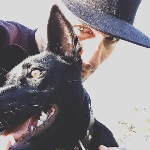 6686体育官网初级作者Noah