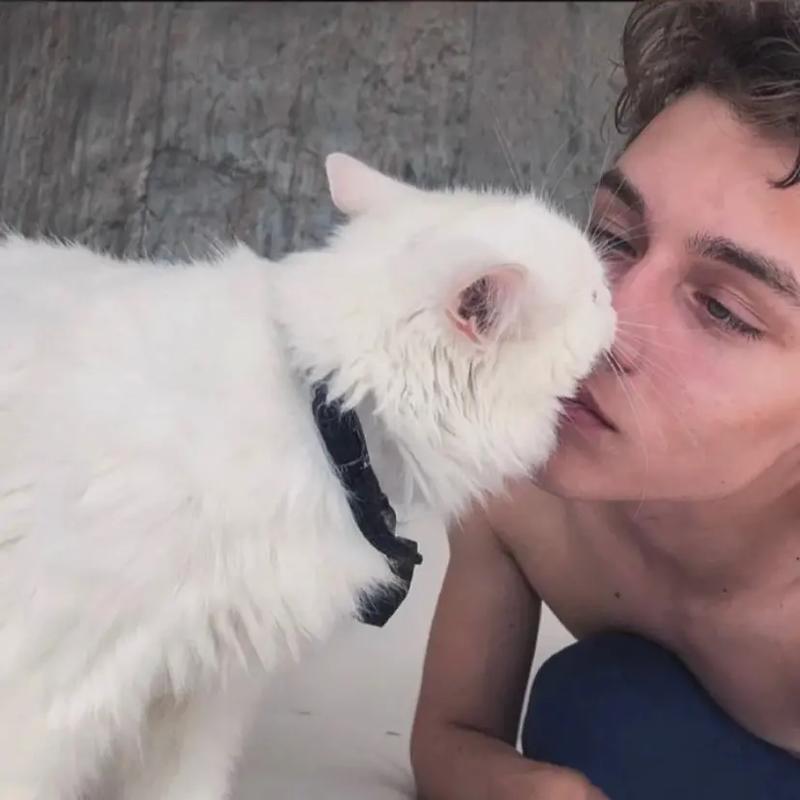 6686体育官网高级作者Logan