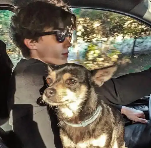 6686体育官网初级作者夢在遠方