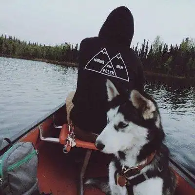 6686体育官网铁牌作者Wolfgang