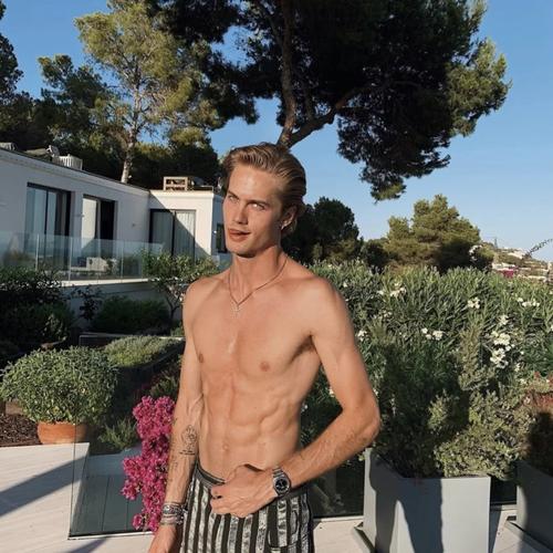 6686体育官网钻石作者风住尘香花