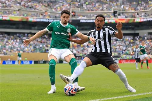 帕尔梅拉斯 vs 博塔弗戈 RJ